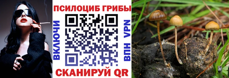 Галлюциногенные грибы Magic Shrooms  Голицыно 